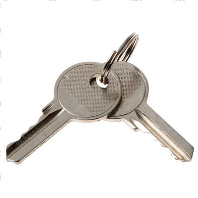 Picture of Key - Ronis 455 Bag of 100