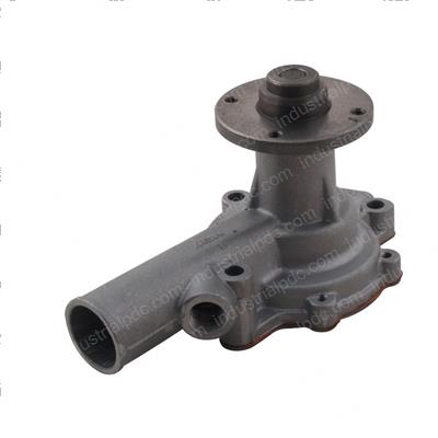 Picture of Pump - Water