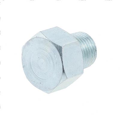 Picture of Plug-Hex Cap