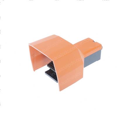 Picture of Switch - Foot