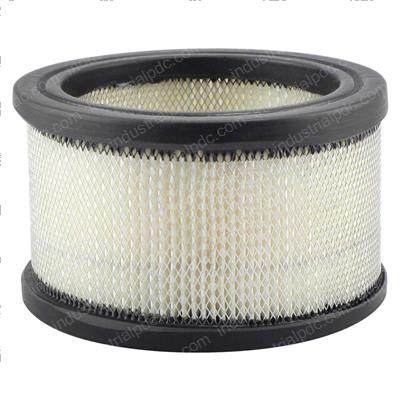 Picture of Filter - Air