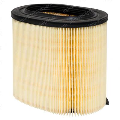 Picture of Filter-Oval Air Element