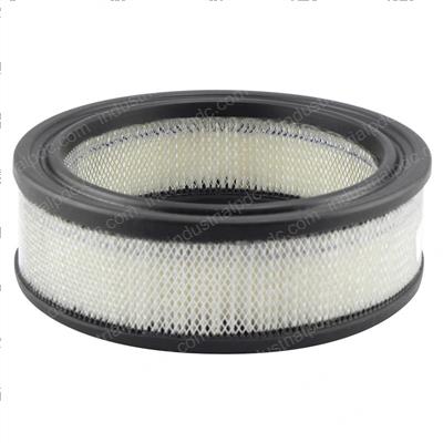 Picture of Filter - Air