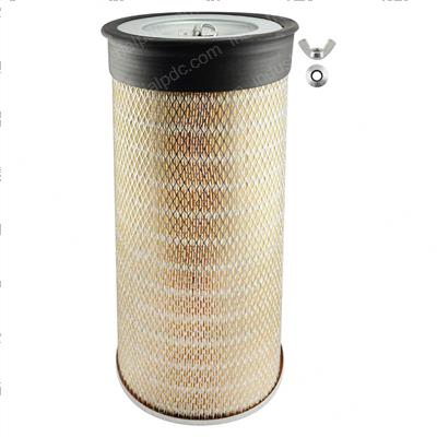 Picture of Filter - Air