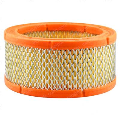 Picture of Filter - Air