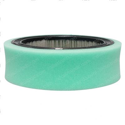 Picture of Filter Air With Foam Wrap