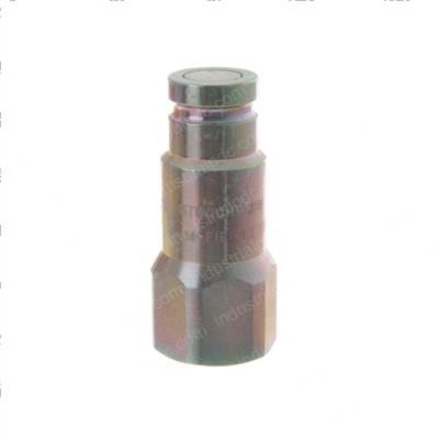 Picture of Coupling Male