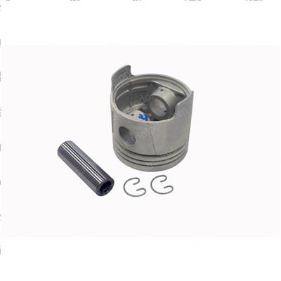 Picture of Piston - Standard