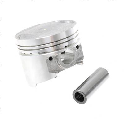 Picture of Piston - Standard