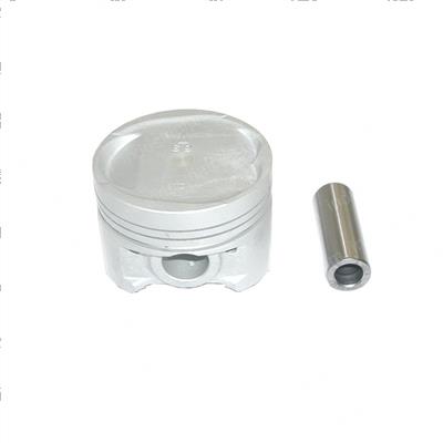 Picture of Piston - Standard