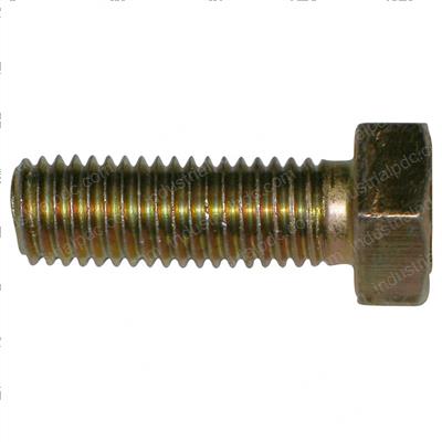 Picture of Bolt