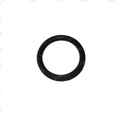 Picture of O-Ring