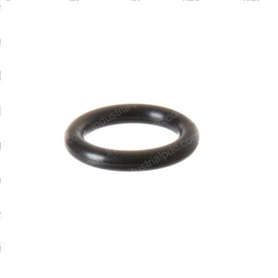 Picture of O-Ring