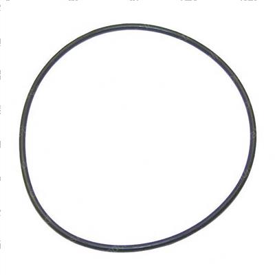 Picture of O-Ring