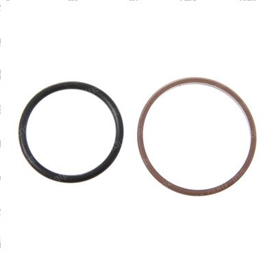 Picture of Piston Seal Assembly