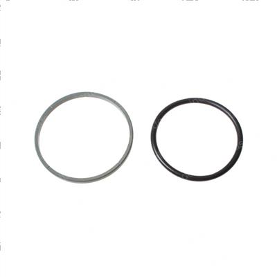 Picture of Seal- Slipper