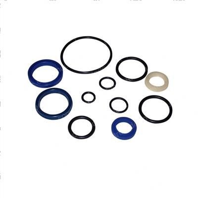 Picture of O-Ring and Seal Kit