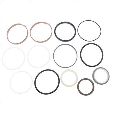 Picture of Seal Kit