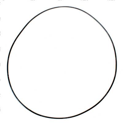 Picture of O-Ring
