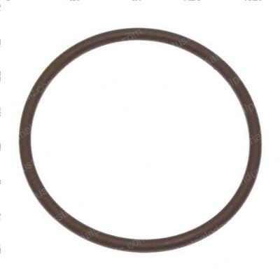 Picture of O-Ring
