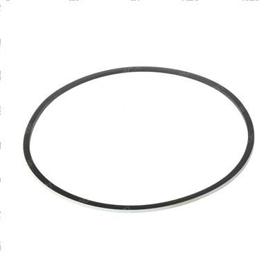 Picture of Sealing Ring, 194.51mm I