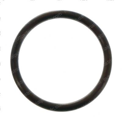 Picture of O-Ring