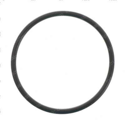 Picture of O-Ring