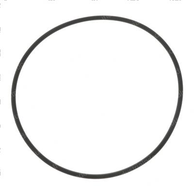 Picture of O-Ring