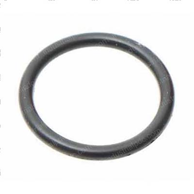 Picture of O-Ring