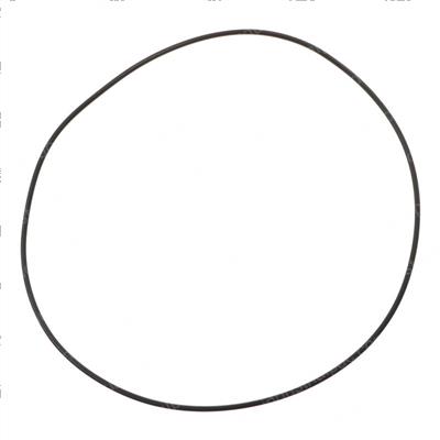 Picture of O-Ring