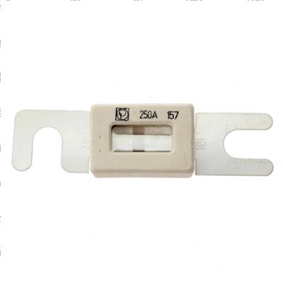 Picture of Fuse 250a