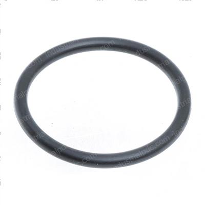 Picture of O-Ring