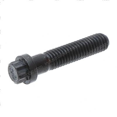 Picture of Bolt