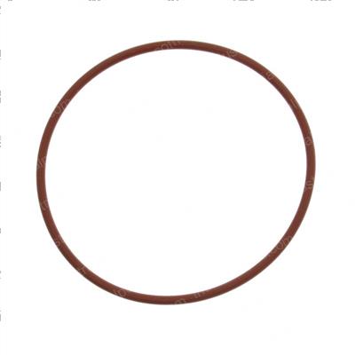 Picture of O-Ring