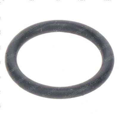Picture of O Ring