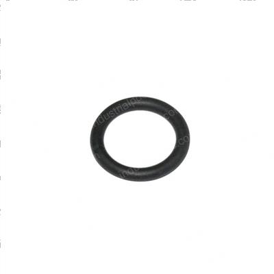 Picture of O-Ring