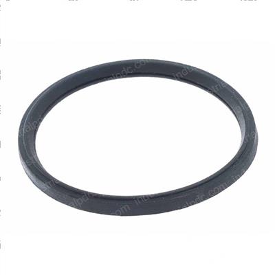 Picture of Thermostat Gasket