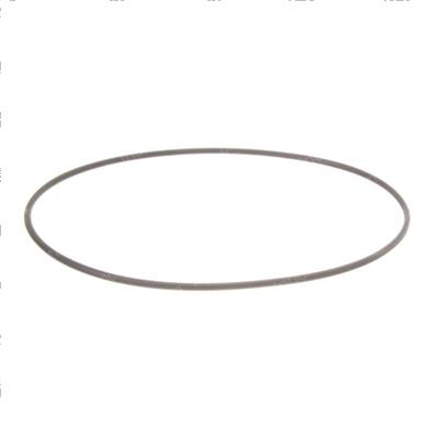 Picture of O-Ring