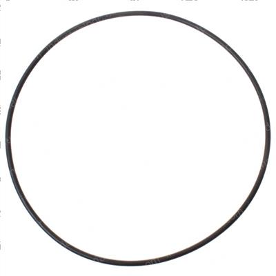 Picture of O-Ring