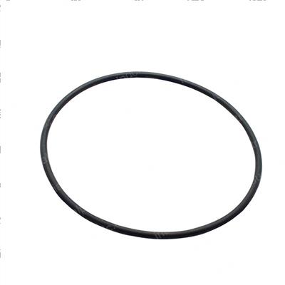 Picture of O-Ring