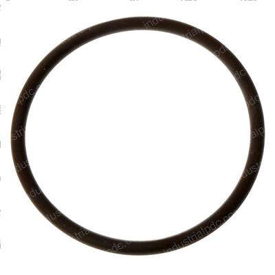 Picture of O-Ring