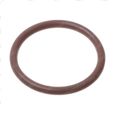 Picture of O-Ring