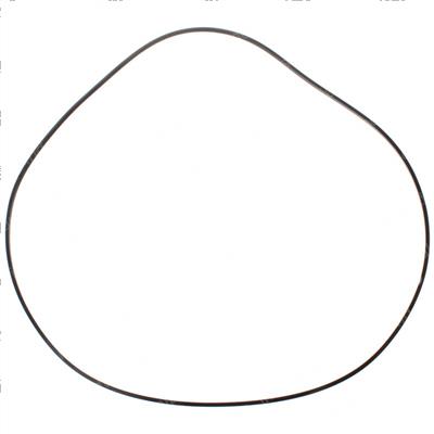Picture of O-Ring