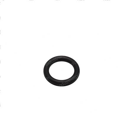Picture of O-Ring