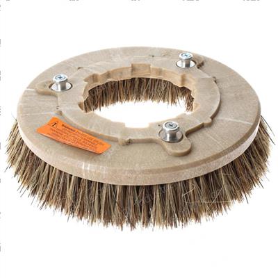 Picture of Brush 12 Inch