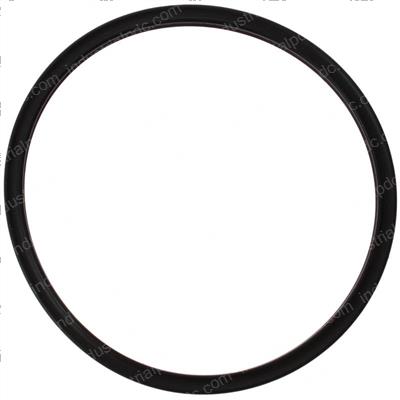 Picture of O-Ring