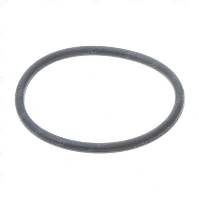 Picture of O-Ring