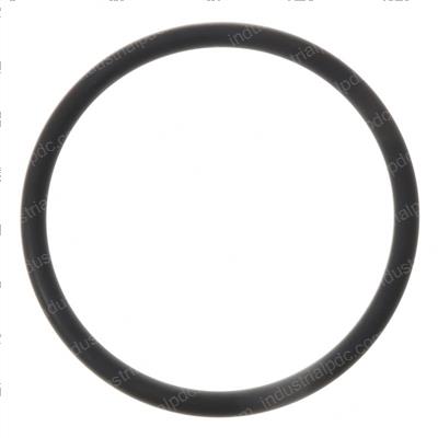 Picture of O-Ring