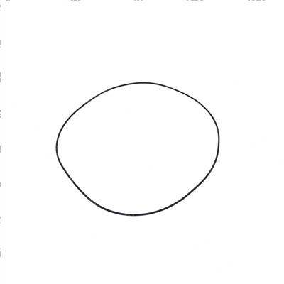 Picture of O-Ring