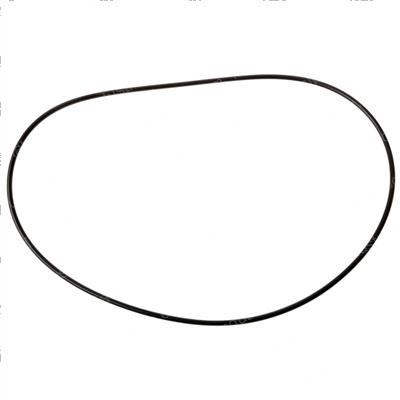 Picture of O-Ring